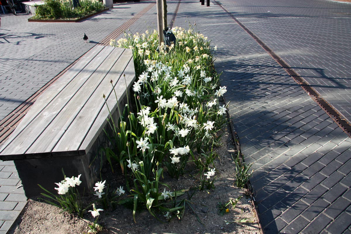 Kastruplundgade