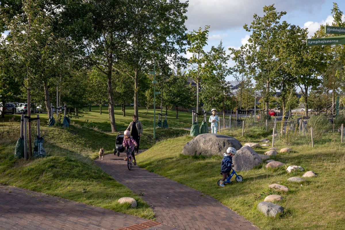Tjørnegårdskolen